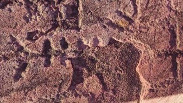 Electrolux closing, Amy Koch speaks out, Jeffers Petroglyphs