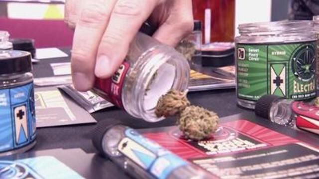 Political scientists, growing hemp, tunes by The Steeles