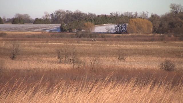 Polar Vortex visit, distracted driving bill, prairie poets