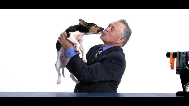 The Bizarre Unspoken Truth About Pet Ownership