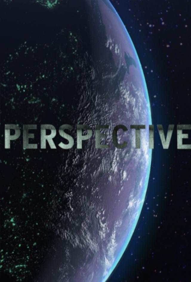 Perspective