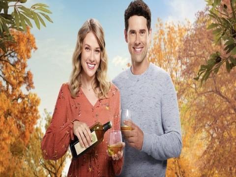 Love Under the Olive Tree