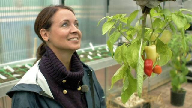 Hösten 2010 - Avsnitt 5