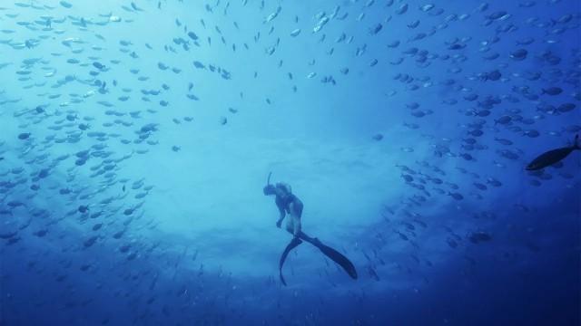 The Sub-Tropical Zone
