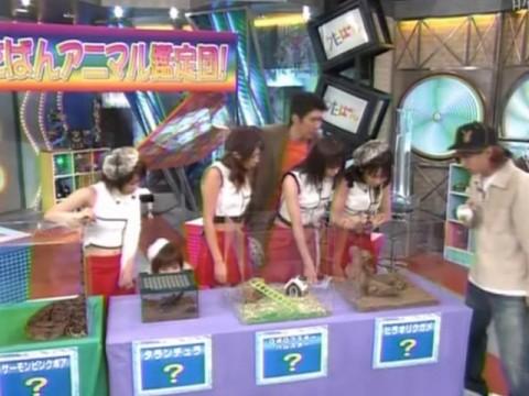Country Musume. ni Konno to Fujimoto - Senpai ~LOVE AGAIN~