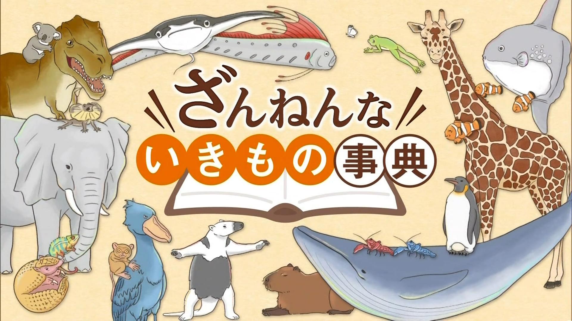 Encyclopedia of Pitiful Creatures