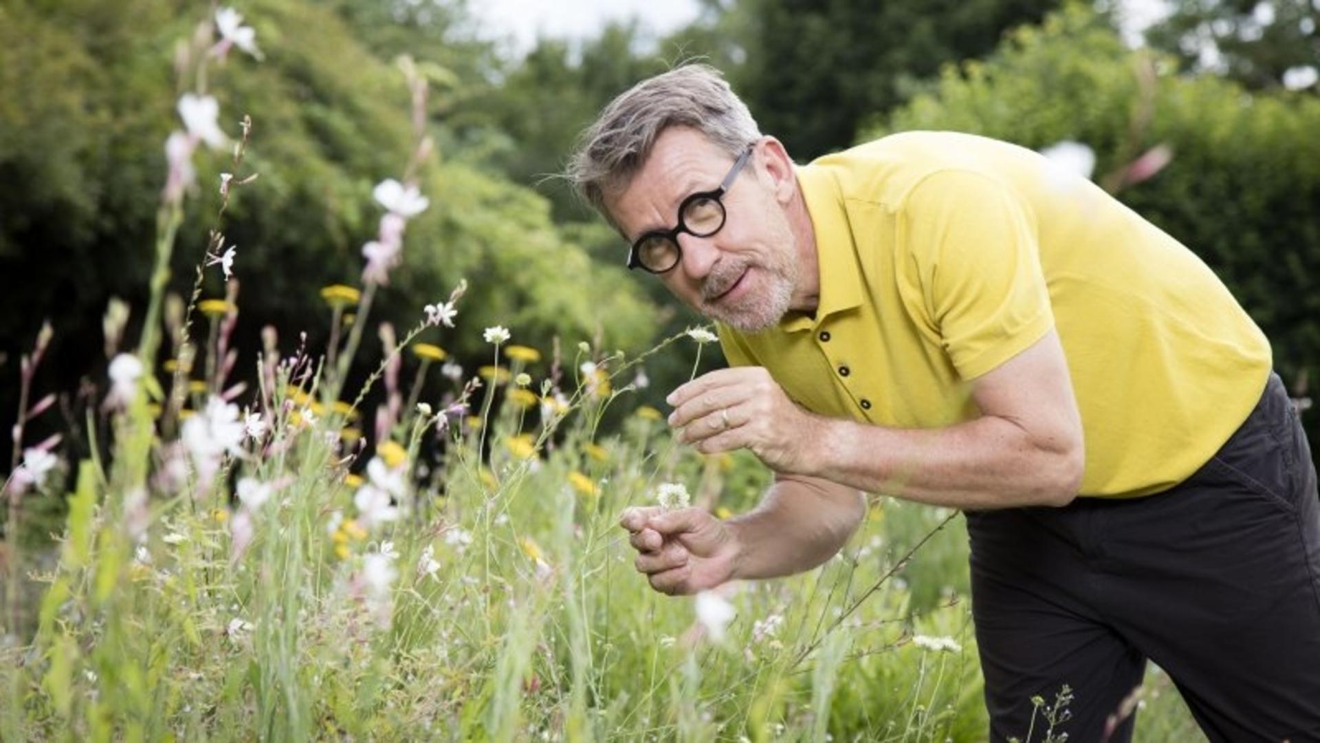 Comme une envie de jardins...