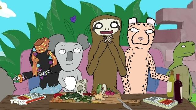 Zook Club