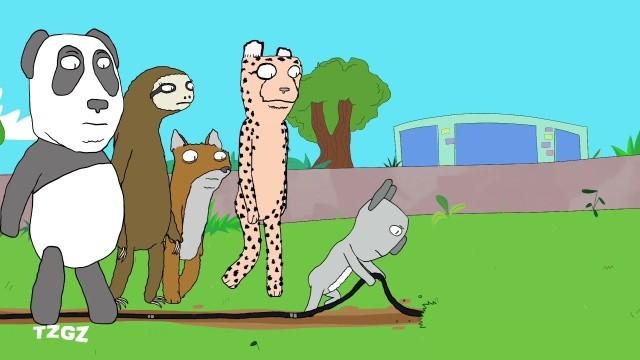 Broadcast Zoos