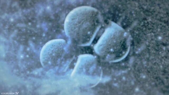 Promising Cancer Cure Hits the Market! [Car-T Cells]