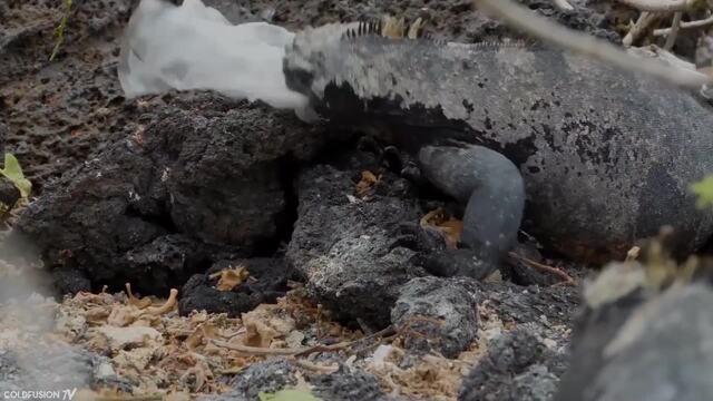 Turning Plastic Waste into Jet Fuel!