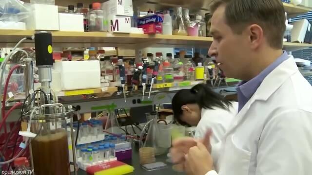 Reversing Ageing: New Studies Show it Can be Done