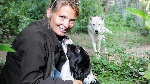 Dog Tales: The Making of Man's Best Friend