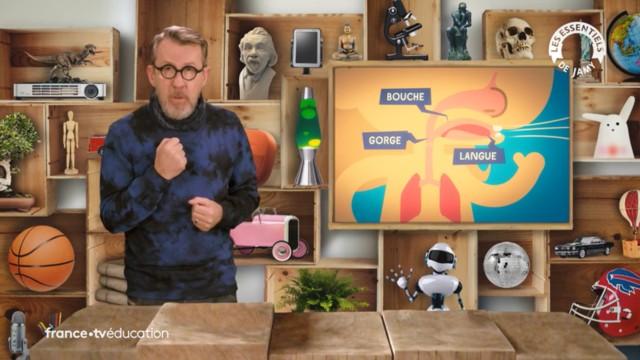 La voix, comment ça fonctionne ?