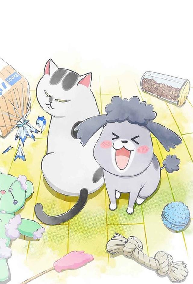 With a Dog AND a Cat, Every Day Is Fun