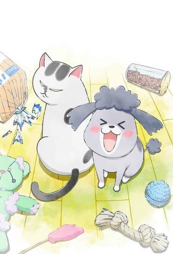 With a Dog AND a Cat, Every Day Is Fun