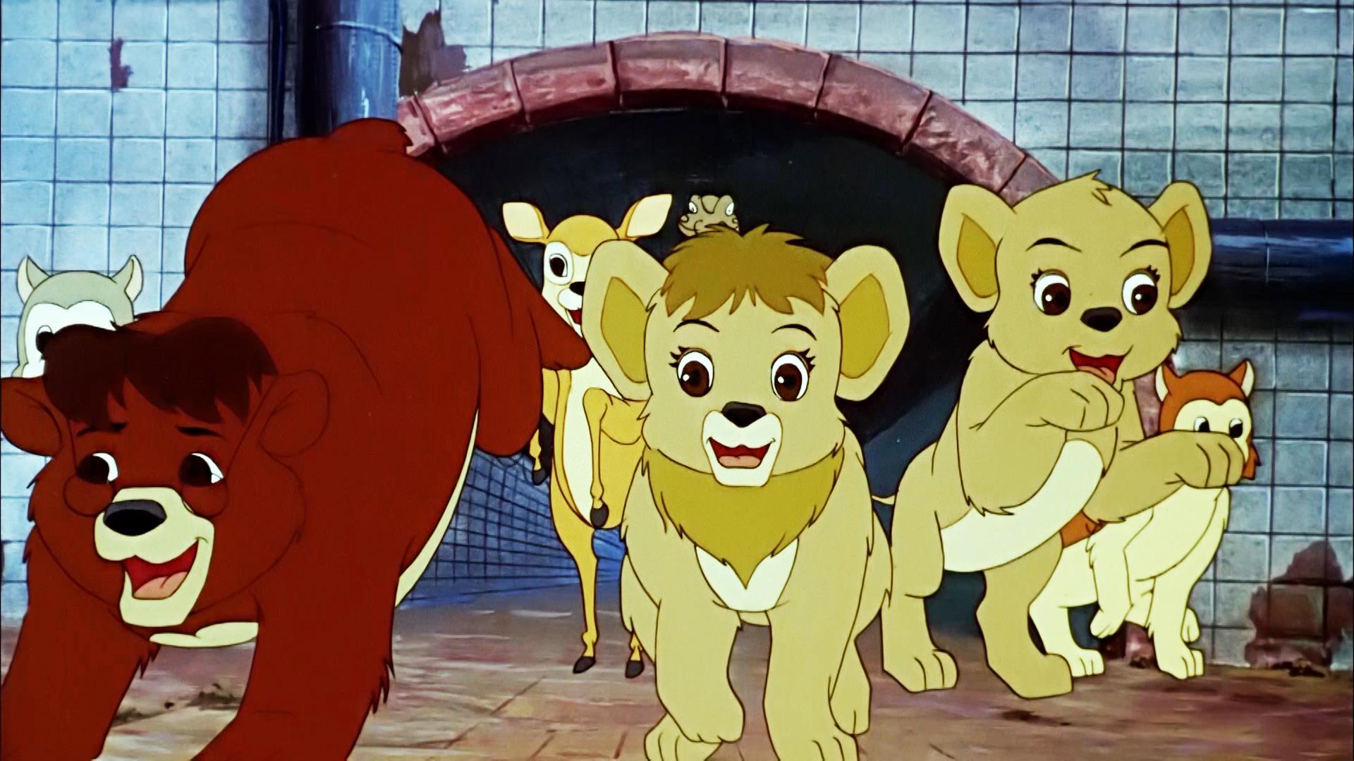 Simba Jr. and the Football World Cup