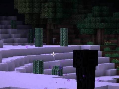 PLANETA VEGETTA: UN PEGASO MISTERIOSO EN LA NOCHE