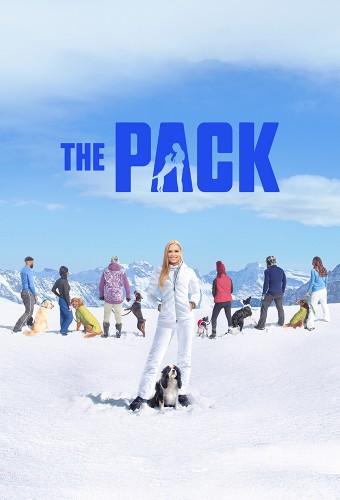 The Pack (2020) (US)