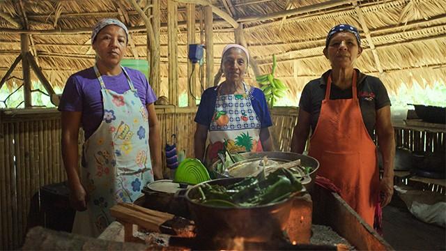 Jungle to Table in Costa Rica