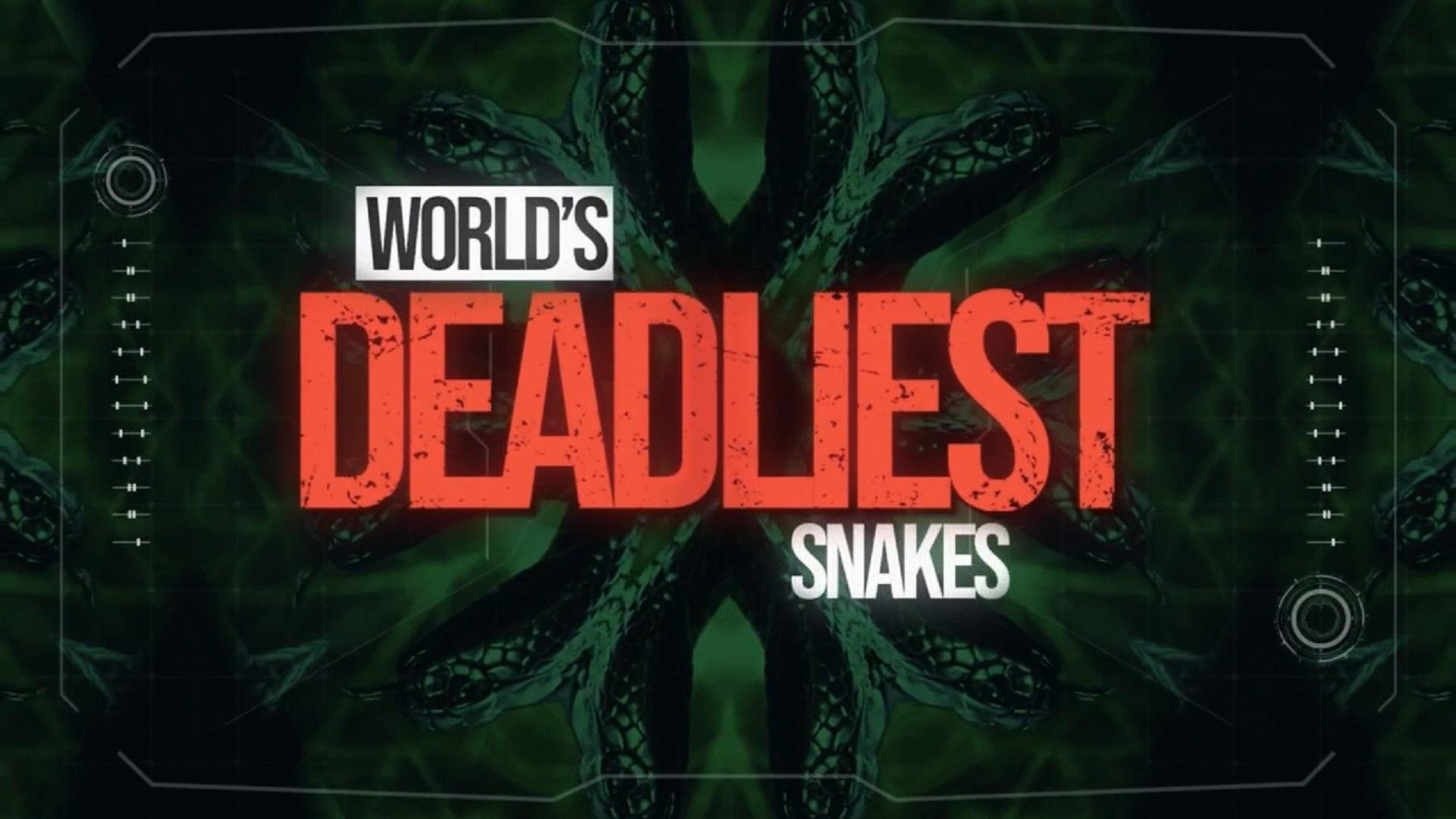 World's Deadliest Snakes