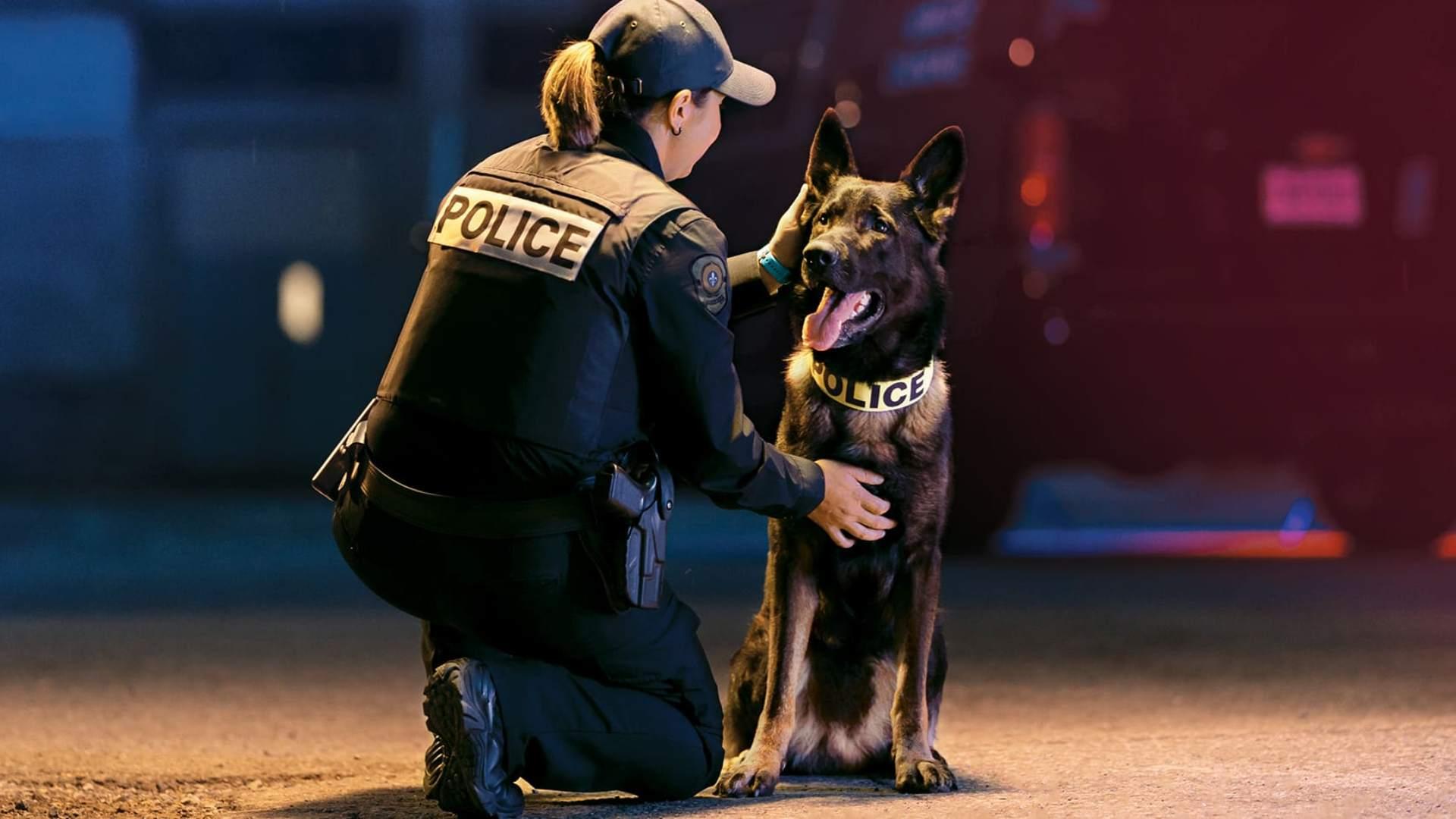 Canine Unit