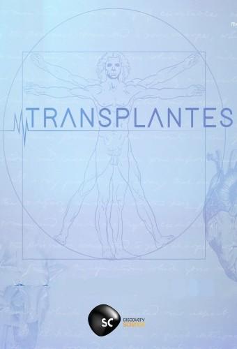 Transplantes (2019)