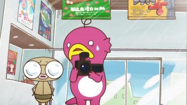Oh, So Cute! The Female Announcer, Miss Otter