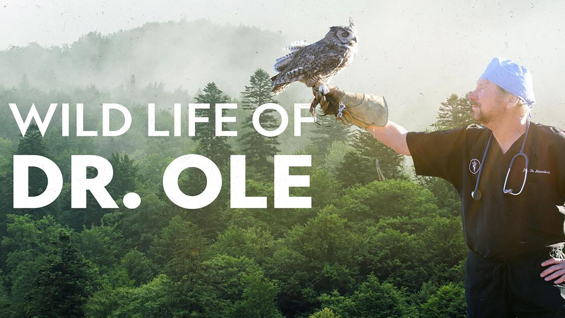 The Wild Life of Dr. Ole