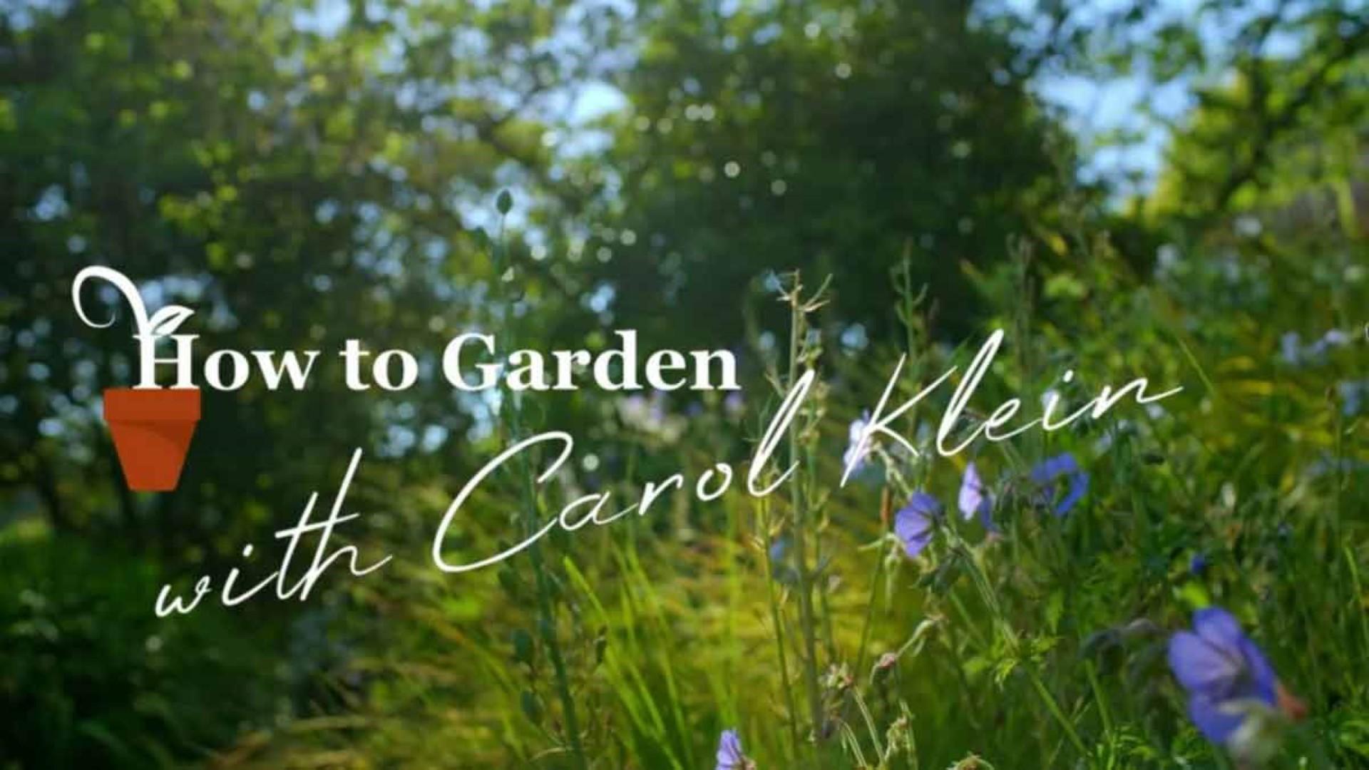 Gardening with Carol Klein