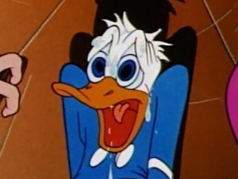 Donald Loses His Mind