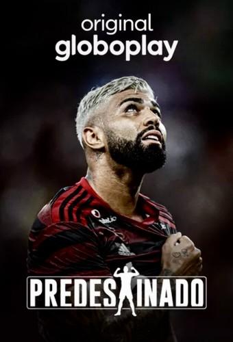 Predestinado