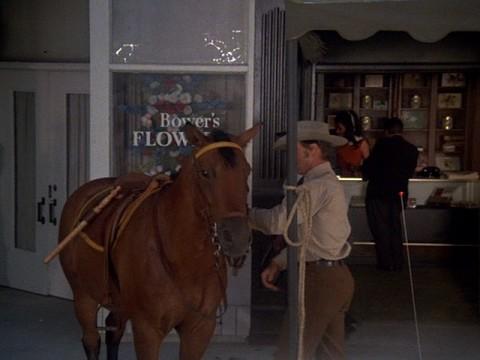 Horse Stealing on Fifth Avenue