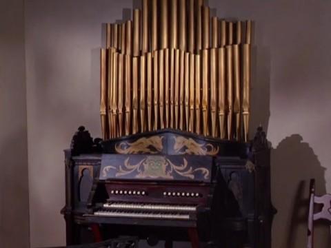 The Organ Transplant