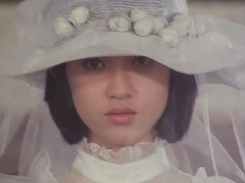 The Kidnapped Brides