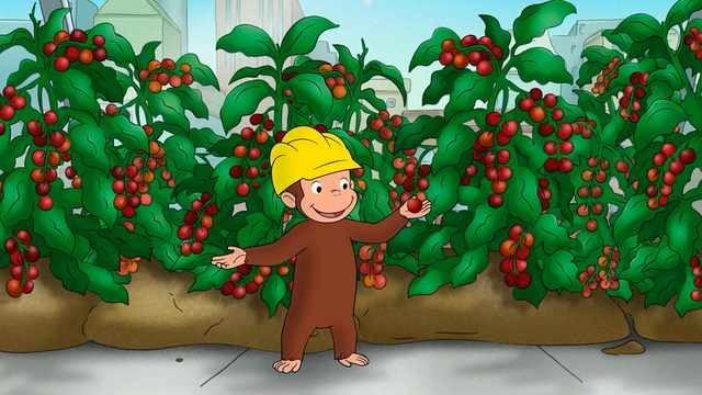The Greenhouse Effect