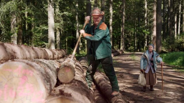 Eine menge Holz