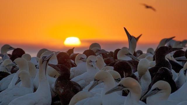 Wildes Südafrika (1): Kap der Extreme
