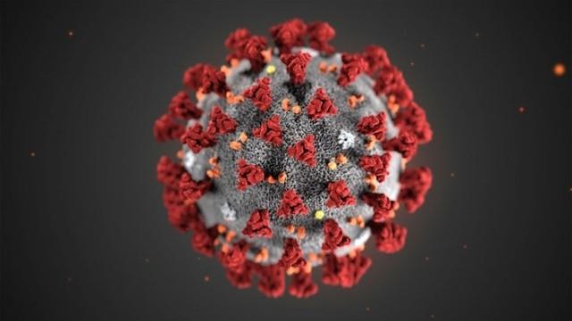 Quarks extra: Wie gefährlich ist Corona wirklich?