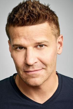 Picture of David Boreanaz