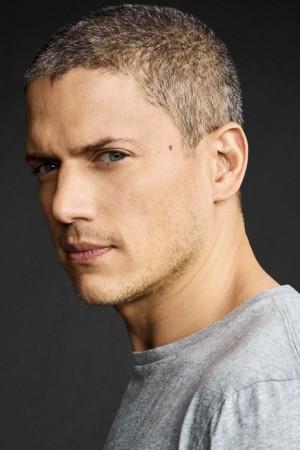 Picture of Wentworth Miller
