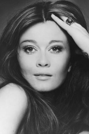 Picture of Anitra Ford