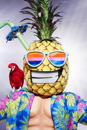 Picture of Tommy Chong