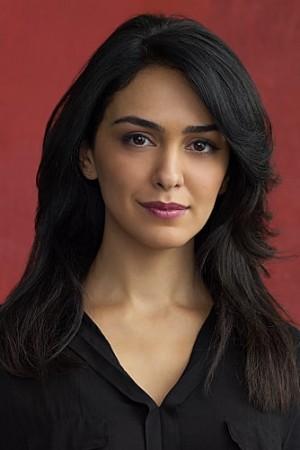 Picture of Nazanin Boniadi