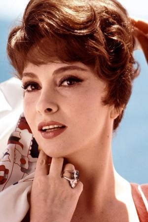 Picture of Gina Lollobrigida