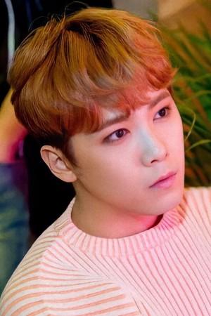 Picture of Lee Hong-ki