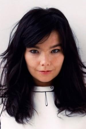 Picture of Björk