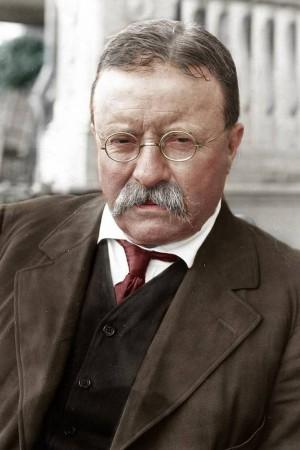 Picture of Theodore Roosevelt