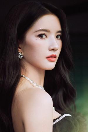 Picture of Liu Xiening