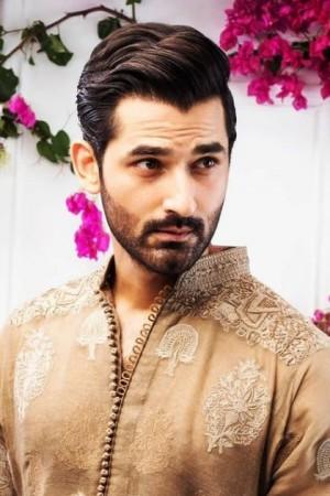 Picture of Mirza Zain Baig